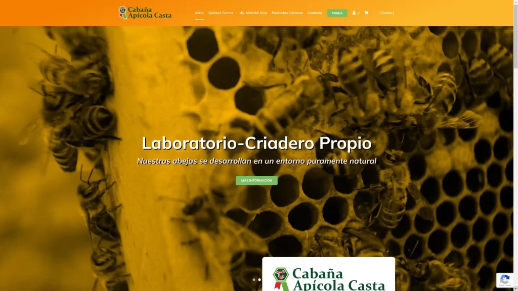 Página web apicultura artesanal